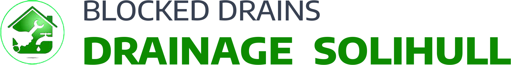 website logo